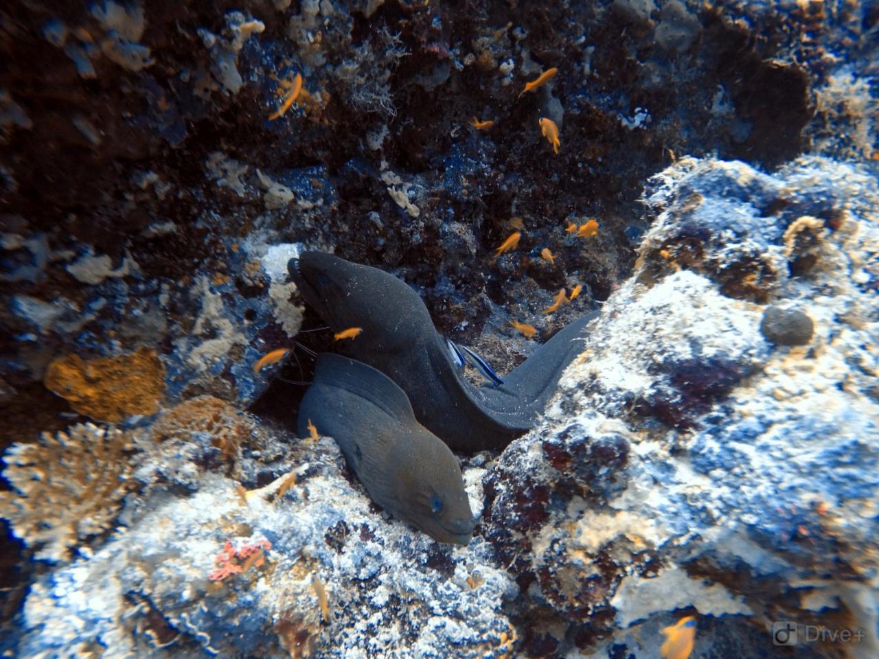 Rasdhoo Dive Lodge Exterior foto